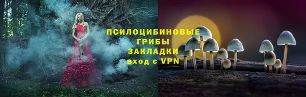 трава Алзамай