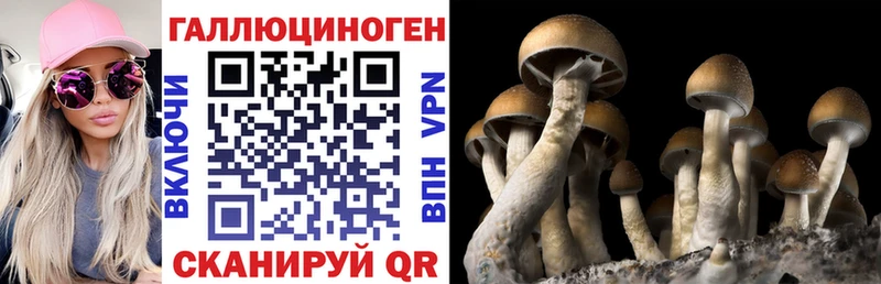 сайты даркнета какой сайт  Долинск  Галлюциногенные грибы Cubensis 